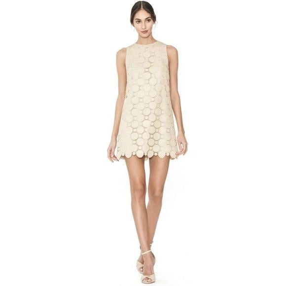 Alice + Olivia || Clyde Gold Metallic Dot Lace Shift Mini Dress 0