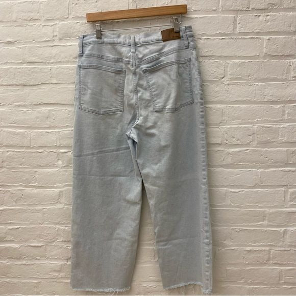 Madewell || Perfect Vintage Wide-Leg Crop Jean Bosworth Wash Raw-Hem Edition 30