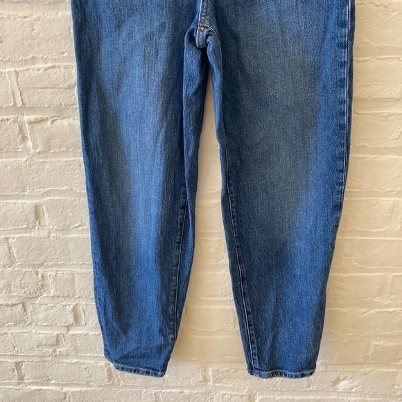 Madewell || Balloon Jeans Medium Wash Wide Mom Tapered 24