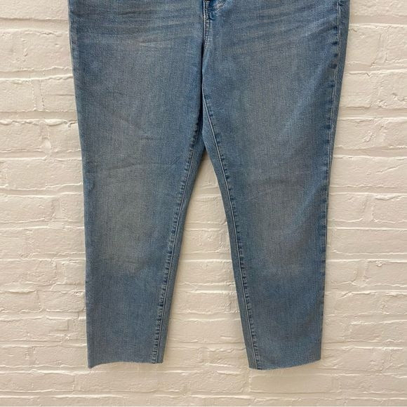 Madewell || The Perfect Vintage Jean Raw Hem in Ellicott Wash Medium Blue 30