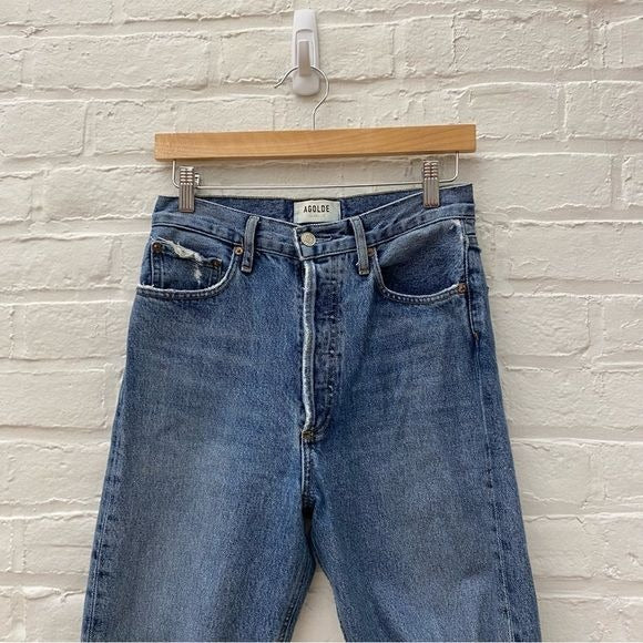 AGOLDE || 90s Pinch Waist Straight Leg Jean in Backdrop Blue 25