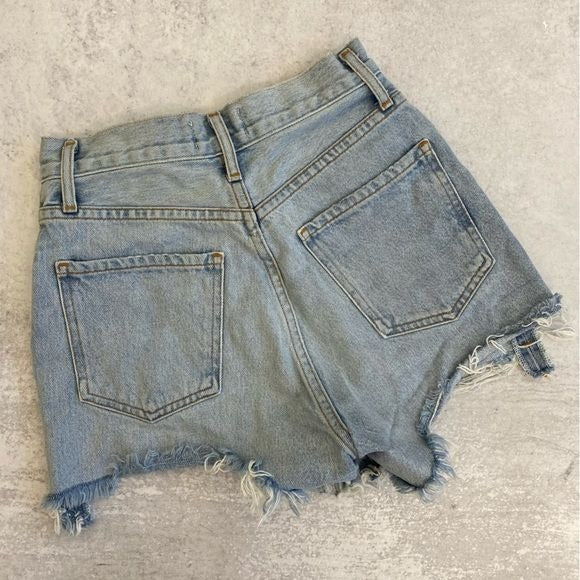 Agolde || Dee Ultra High Rise Denim Short in Digit Cutoff Raw Hem Light 23