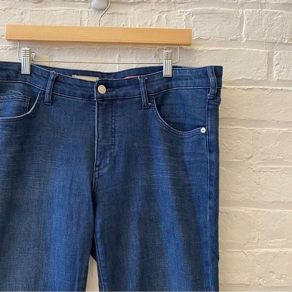 Anthropologie || Pilcro Flare Jeans Blue 30