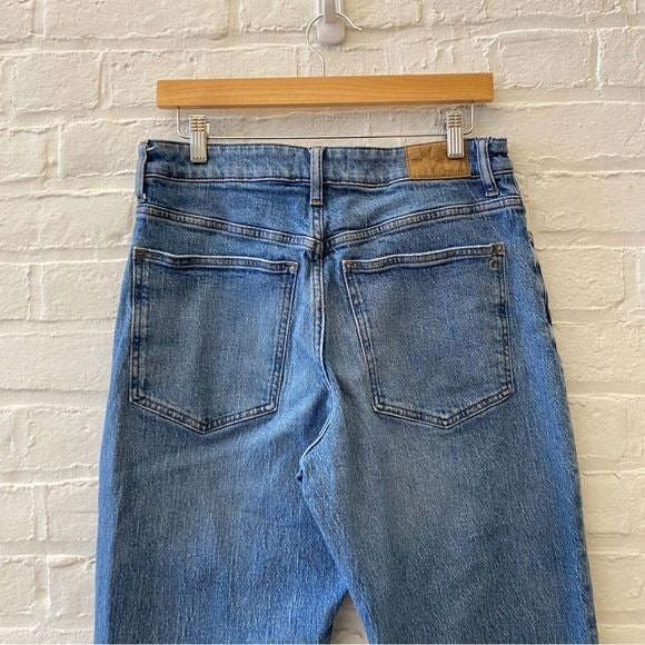 Madewell || The Curvy '90s Straight Jean Mid Wash Denim Blue 30