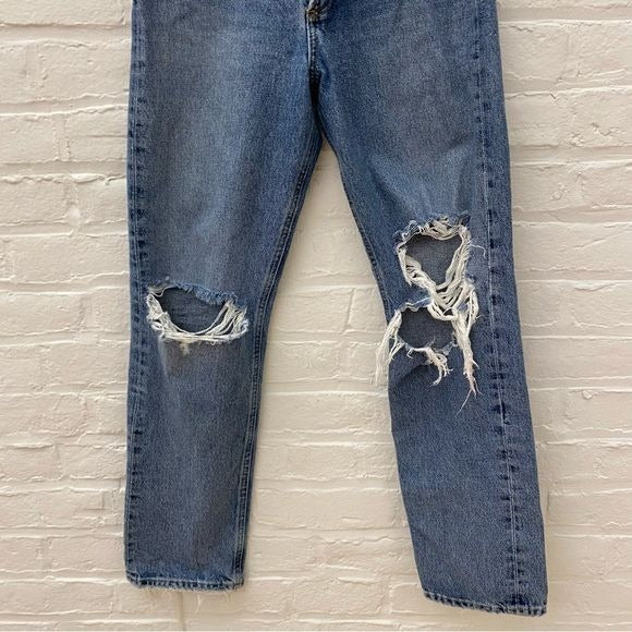 AGOLDE || 90s Pinch Waist Straight Leg Jean in Backdrop Blue 25