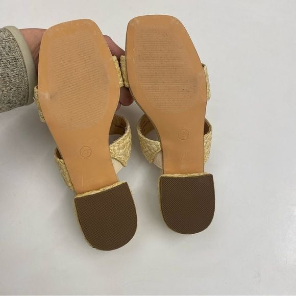 Joie || Niki Raffia Straw Block Heel Sandal Tan 6.5