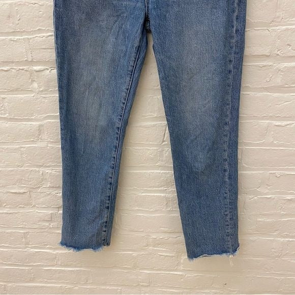 Madewell || Perfect Vintage Jeans in Ainsworth Wash Blue 28