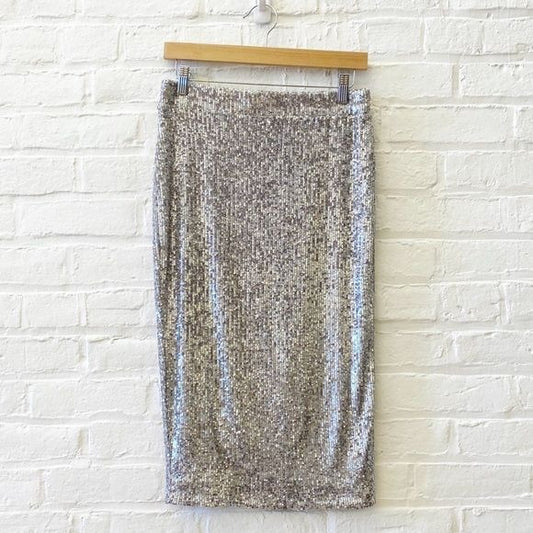 Rachel Zoe || Sequin Pencil Midi Skirt Silver Small