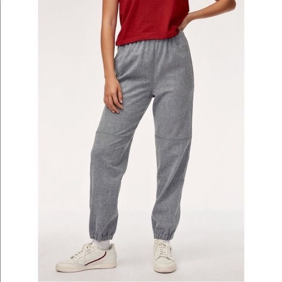 Aritzia || Wilfred Free Dionne Pants Flannel Pull On Gray Small