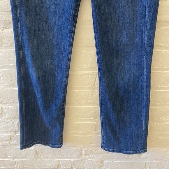 AYR || The Pop Straight Leg Jean Blue 27 Short 27S