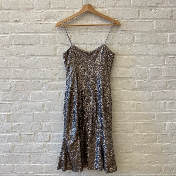 Banana Republic || L’ Wren Scott Sequined Party Dress Silver 6 NWT